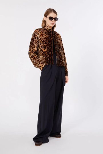 Leopardo